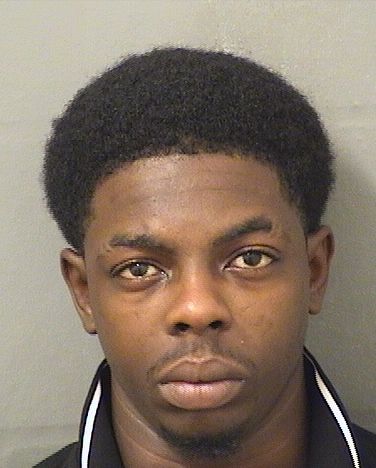  LEON LEROY WILLIAMS Resultados de la busqueda para Palm Beach County Florida para  LEON LEROY WILLIAMS