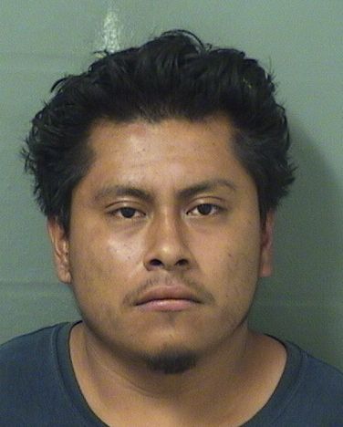  DAVID M TOMAS Resultados de la busqueda para Palm Beach County Florida para  DAVID M TOMAS