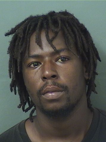  LUIS A Jr SAEZ Results from Palm Beach County Florida for  LUIS A Jr SAEZ