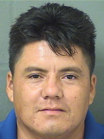  ORLANDO A CALDERON CASTILLO Results from Palm Beach County Florida for  ORLANDO A CALDERON CASTILLO