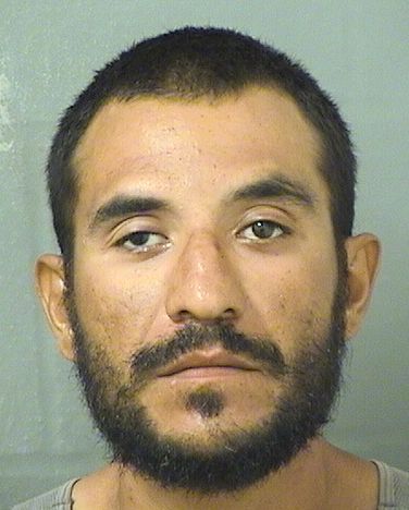  PEDRO E MALDONADO Results from Palm Beach County Florida for  PEDRO E MALDONADO