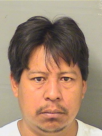  ALFREDO SOTO PEREZ Results from Palm Beach County Florida for  ALFREDO SOTO PEREZ