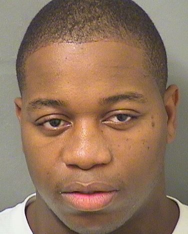  MICHAEL DEANGELO JOHNSON Results from Palm Beach County Florida for  MICHAEL DEANGELO JOHNSON
