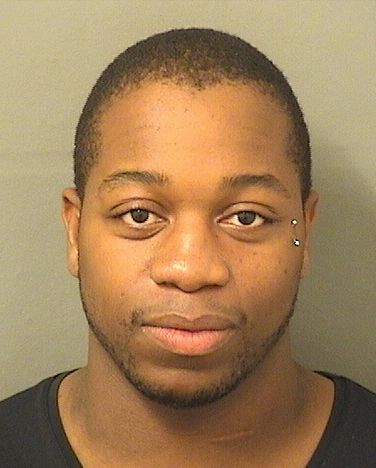  MICHAEL DEANGELO Jr JOHNSON Results from Palm Beach County Florida for  MICHAEL DEANGELO Jr JOHNSON