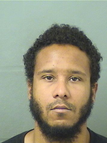  JOHN TODD II TISCHART Results from Palm Beach County Florida for  JOHN TODD II TISCHART