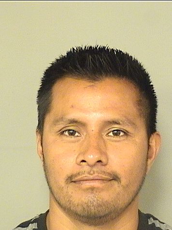 SAMUEL BARTOLOMEPASCUAL Photos For  SAMUEL BARTOLOMEPASCUAL  SAMUEL BARTOLOMEPASCUAL Photo For  SAMUEL BARTOLOMEPASCUAL