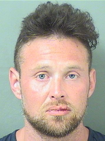  BRYAN GEOFFREY GOLDBERG Results from Palm Beach County Florida for  BRYAN GEOFFREY GOLDBERG