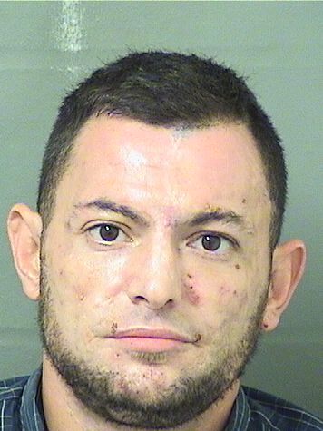  ILYA YURYEVICH BENTSIS Results from Palm Beach County Florida for  ILYA YURYEVICH BENTSIS