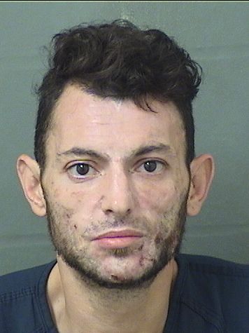  ILYA YURYEVICH BENTSIS Resultados de la busqueda para Palm Beach County Florida para  ILYA YURYEVICH BENTSIS