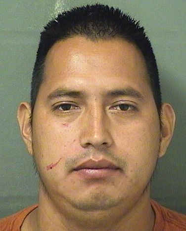MAYNOR EDJIDIOSILVESTRE MENDOZA resultados de la busqueda para Palm Beach County Florida para MAYNOR EDJIDIOSILVESTRE MENDOZA MAYNOR EDJIDIOSILVESTRE MENDOZA Resultados de la busqueda para Palm Beach County Florida para MAYNOR EDJIDIOSILVESTRE MENDOZA