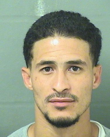  NARCISO ROSALESBERMUDEZ Results from Palm Beach County Florida for  NARCISO ROSALESBERMUDEZ