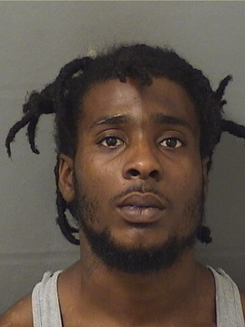  MICHAEL DONNELL J BALLARD Results from Palm Beach County Florida for  MICHAEL DONNELL J BALLARD