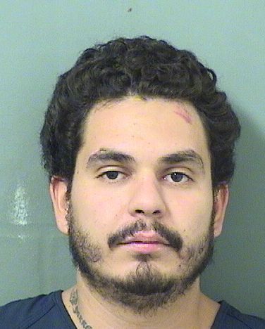  MATTHEW GREGORY LOWELL Results from Palm Beach County Florida for  MATTHEW GREGORY LOWELL