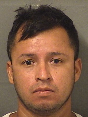 FREDY NOE BENITEZ resultados de la busqueda para Palm Beach County Florida para FREDY NOE BENITEZ FREDY NOE BENITEZ Resultados de la busqueda para Palm Beach County Florida para FREDY NOE BENITEZ