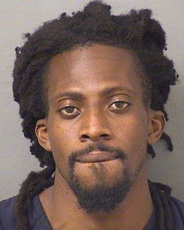 REGINALD Jr WASHINGTON Results from Palm Beach County Florida for REGINALD Jr WASHINGTON REGINALD Jr WASHINGTON Results from Palm Beach County Florida for REGINALD Jr WASHINGTON
