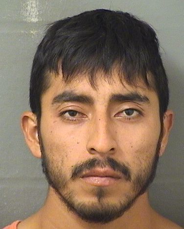  MARVIN GOMEZ Resultados de la busqueda para Palm Beach County Florida para  MARVIN GOMEZ