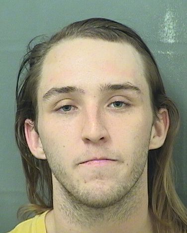  ERIK MICHAEL ELSTON Results from Palm Beach County Florida for  ERIK MICHAEL ELSTON