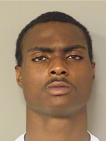  SYLVAIN FEDLERSON Results from Palm Beach County Florida for  SYLVAIN FEDLERSON