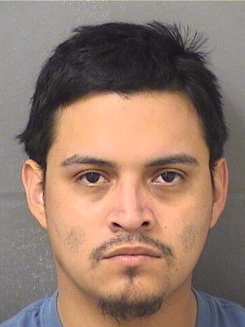  CHRISTOPHER LIGORRIA Photo For  CHRISTOPHER LIGORRIA