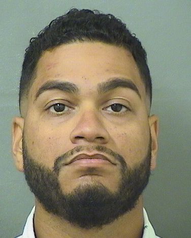  LUIS JUNIOR RIVERA Results from Palm Beach County Florida for  LUIS JUNIOR RIVERA