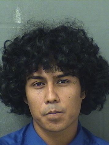  ISMAEL BENITEZ Results from Palm Beach County Florida for  ISMAEL BENITEZ
