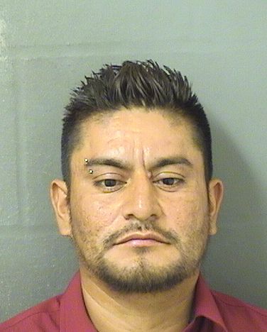  CRISTOBAL M MERIDAGONZALES Results from Palm Beach County Florida for  CRISTOBAL M MERIDAGONZALES