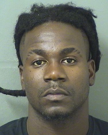  SAUL J DARELUS Results from Palm Beach County Florida for  SAUL J DARELUS