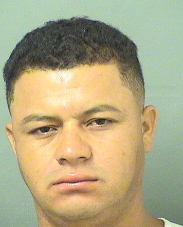  CARLOS ANTONIO ROMEROAPARICIO Results from Palm Beach County Florida for  CARLOS ANTONIO ROMEROAPARICIO