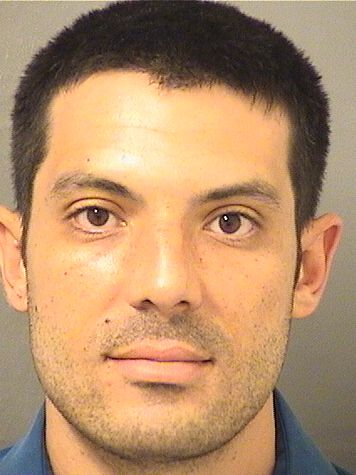  ELAN DAVID MASERI Results from Palm Beach County Florida for  ELAN DAVID MASERI