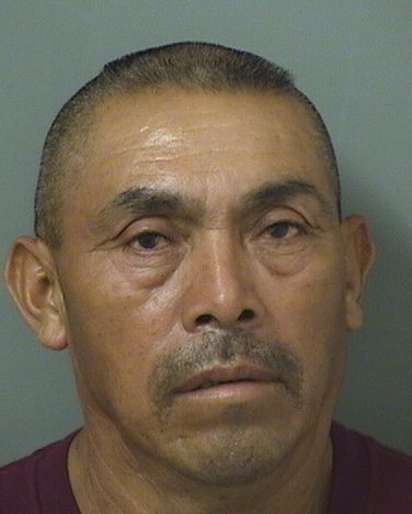  JOSE ANDRESPEREZ Results from Palm Beach County Florida for  JOSE ANDRESPEREZ