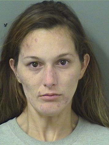  ALEXANDRIA LYNN JOHNSTON Results from Palm Beach County Florida for  ALEXANDRIA LYNN JOHNSTON