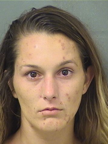  ALEXANDRIA LYNN JOHNSTON Results from Palm Beach County Florida for  ALEXANDRIA LYNN JOHNSTON