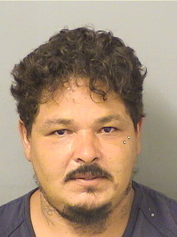  NELSON LEONARDO ALICEA Photo For  NELSON LEONARDO ALICEA