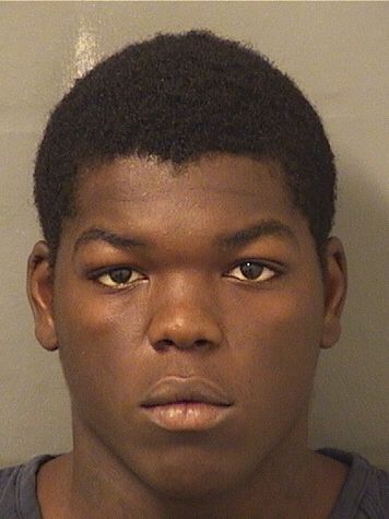  PAUL MICHAEL TODD Results from Palm Beach County Florida for  PAUL MICHAEL TODD