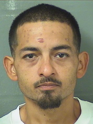  COREY MICHAEL MULVEY Resultados de la busqueda para Palm Beach County Florida para  COREY MICHAEL MULVEY