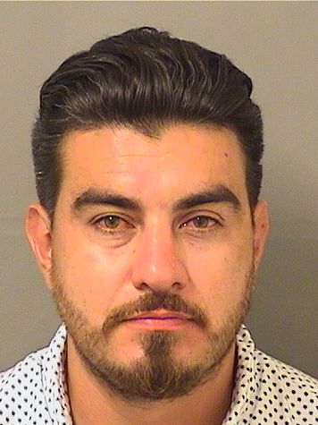  NICOLAS BOGADOACOSTA Results from Palm Beach County Florida for  NICOLAS BOGADOACOSTA