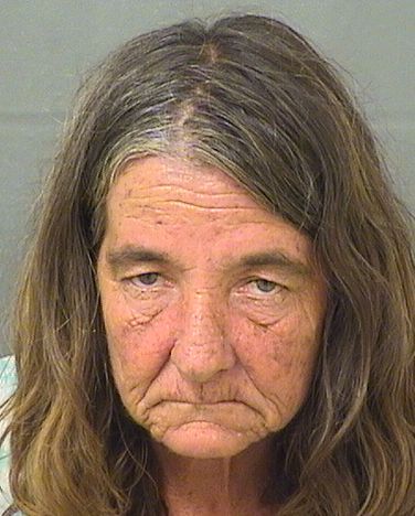  LYNN ANN POWELL Results from Palm Beach County Florida for  LYNN ANN POWELL