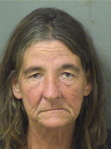  LYNN A POWELL Results from Palm Beach County Florida for  LYNN A POWELL