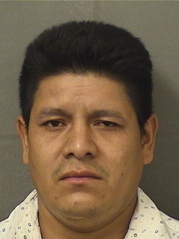  BONIFILIO LOPEZ Results from Palm Beach County Florida for  BONIFILIO LOPEZ