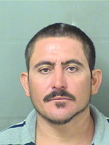  OSCAR CANALES Results from Palm Beach County Florida for  OSCAR CANALES