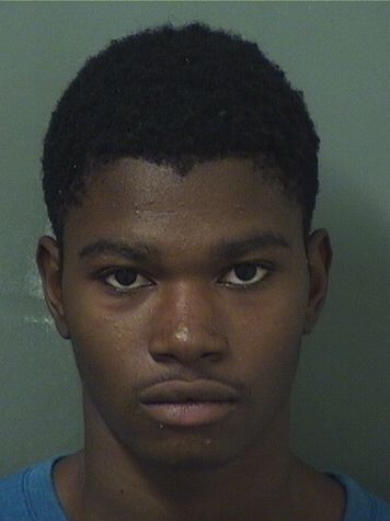  MICHAEL JOSEPH Jr CLARK Results from Palm Beach County Florida for  MICHAEL JOSEPH Jr CLARK