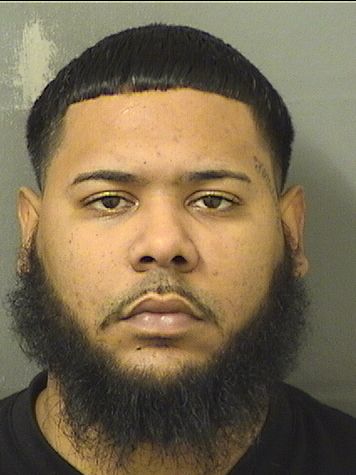  JOAN IVAN SEGURA Results from Palm Beach County Florida for  JOAN IVAN SEGURA