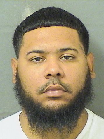  JOAN IVAN SEGURA Results from Palm Beach County Florida for  JOAN IVAN SEGURA