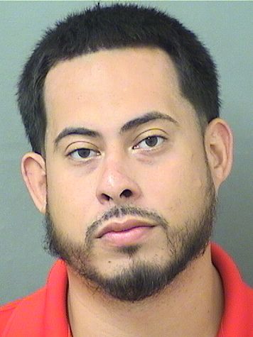  ROMEL ANDRES COPPIANO Resultados de la busqueda para Palm Beach County Florida para  ROMEL ANDRES COPPIANO