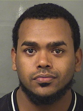  MICHAEL DOUGLAS TYSON Results from Palm Beach County Florida for  MICHAEL DOUGLAS TYSON