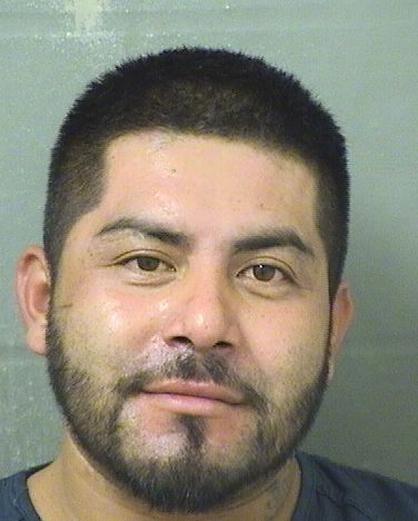  MARSIANO ROMAN Results from Palm Beach County Florida for  MARSIANO ROMAN