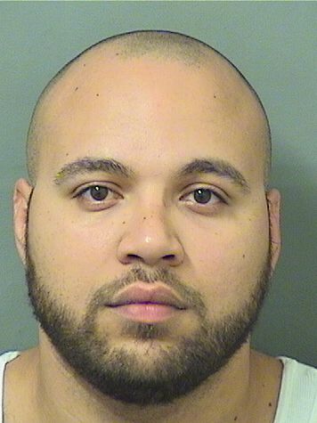  JONATHAN RAMON BARRIENTOS Results from Palm Beach County Florida for  JONATHAN RAMON BARRIENTOS