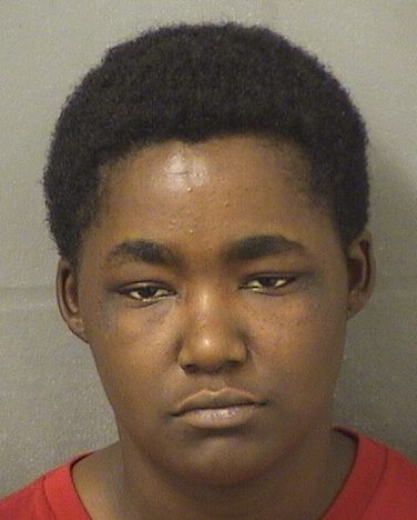  TIFFANY LASHONA MONROE Results from Palm Beach County Florida for  TIFFANY LASHONA MONROE