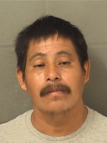DOMINGO MANUEL PASCUAL Results from Palm Beach County Florida for DOMINGO MANUEL PASCUAL DOMINGO MANUEL PASCUAL Results from Palm Beach County Florida for DOMINGO MANUEL PASCUAL