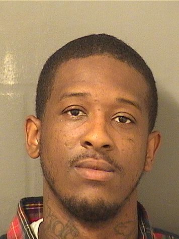  ARTIE JAMES II WILLIAMS Results from Palm Beach County Florida for  ARTIE JAMES II WILLIAMS